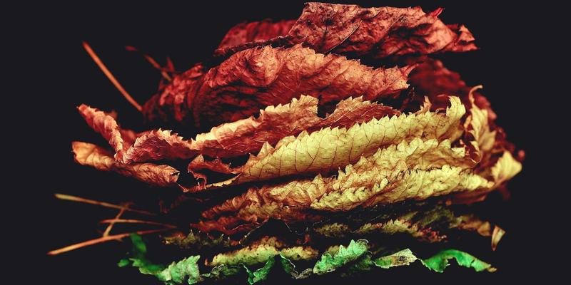 2024年冰箱选购指南：如何根据预算与需求找到最佳性价比？