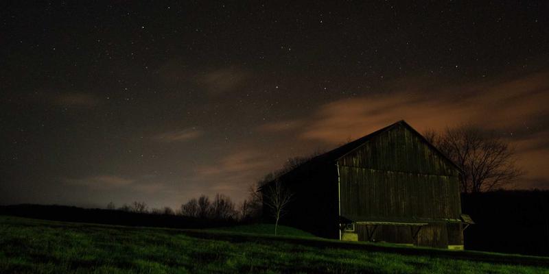 Best Refrigerator 2024: 从价格解密到选购进阶指南