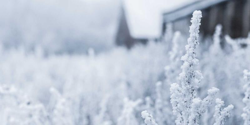 Refrigerator Price86: Your Guide to Home Appliance Prices, Reviews & Comparison