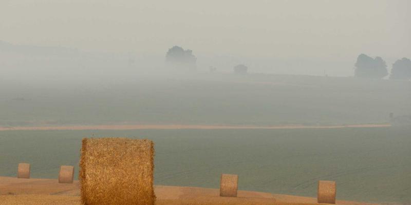 Refrigerator Price Guide 2024: Smart Shopping for Home Appliances