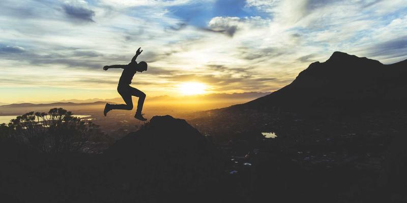 Refrigerator Reviews Reveal: The Truth About Buying Display Model Fridges and Home Appliance Prices