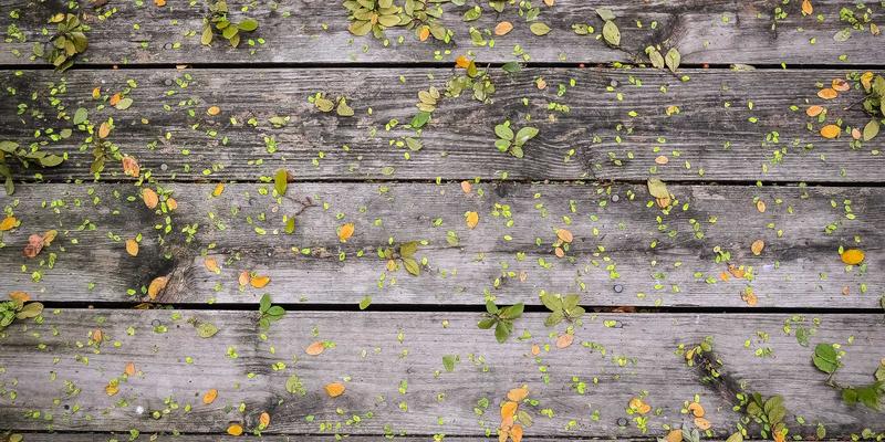 公寓生活必备指南：如何找到性价比最高的迷你冰箱与紧凑型冰箱