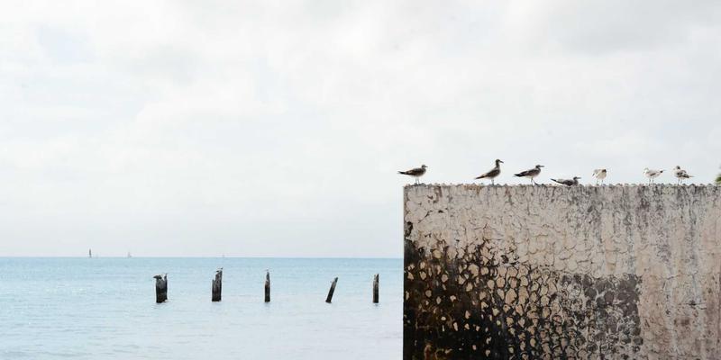 冰箱价格全解析:从fridge cost到选购策略,助您精明消费