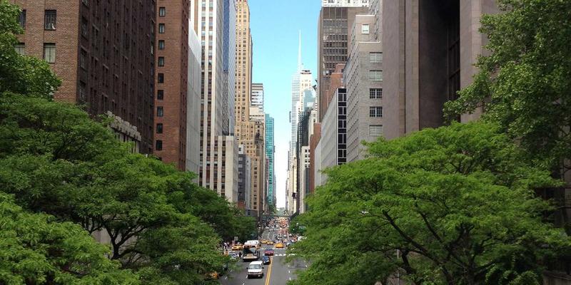 冰箱价格全解析：从入门到高端，如何找到最适合你的那一款？