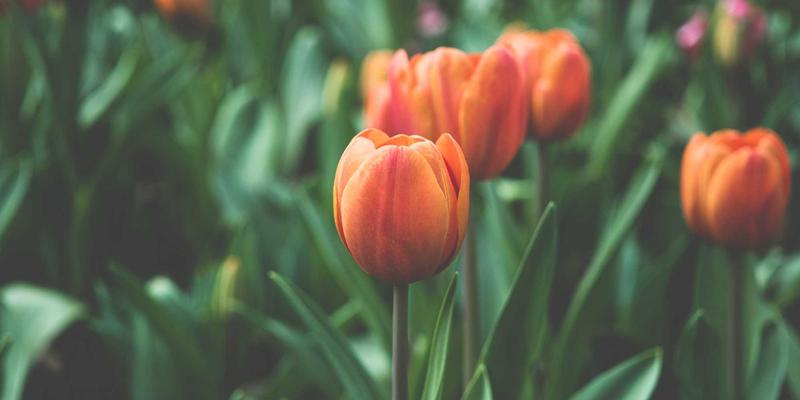 冰箱价格全解析：从市场趋势到选购策略，助您找到最佳性价比