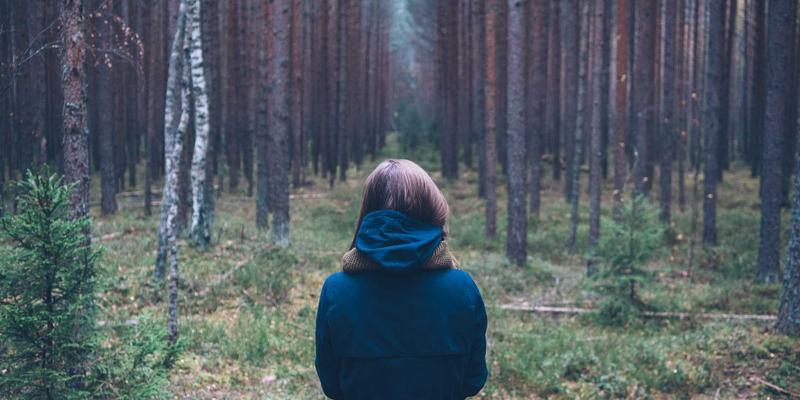 冰箱价格全解析:从选购指南到省钱策略,看懂冰箱成本构成