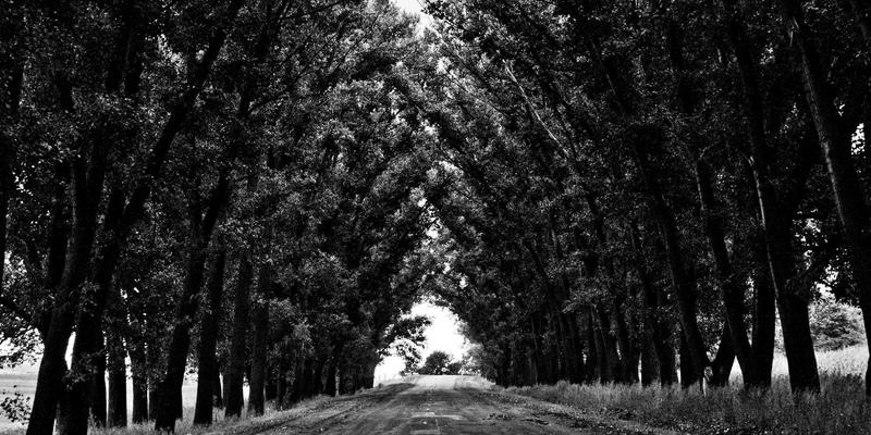 冰箱价格全解析：如何找到性价比最高的冰箱？