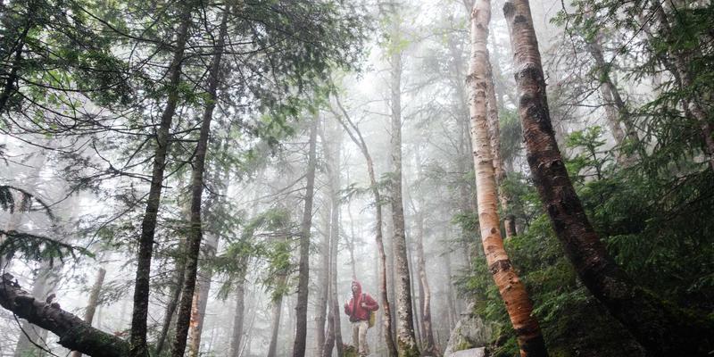 冰箱价格全解析：如何找到高性价比的“Cheap Refrigerator”？