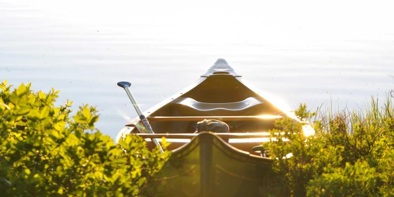 冰箱价格全解析：如何根据预算选购最佳家用冰箱