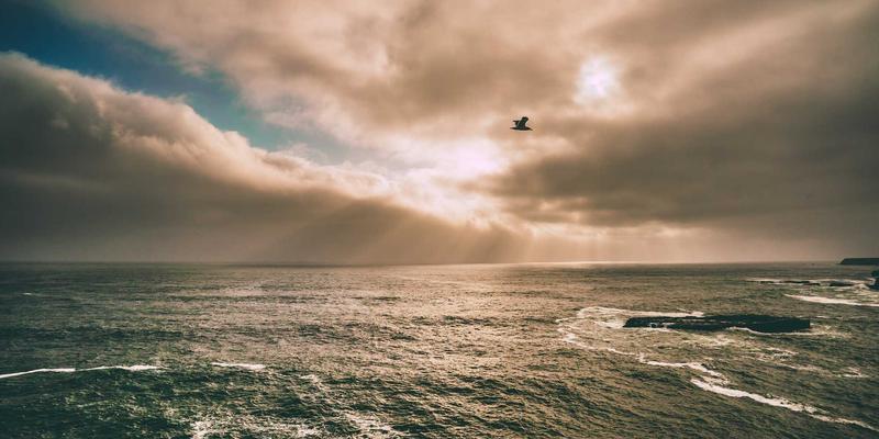 冰箱保修期延长服务值得买吗？深度分析成本效益与隐藏陷阱，助您选购最佳冰箱