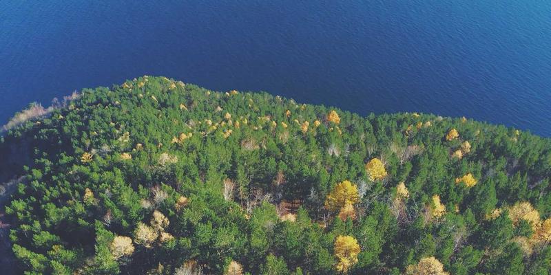 冰箱保鲜技术溢价分析：真空、零度与湿度控制功能成本大揭秘 | 家电选购指南