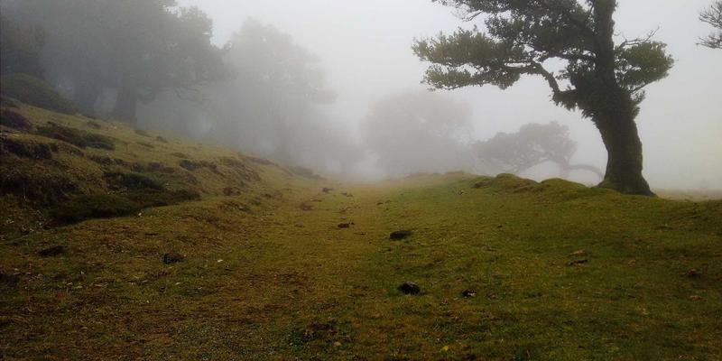 大容量冰箱价格趋势深度解析：500升以上家庭仓储需求如何影响appliance prices