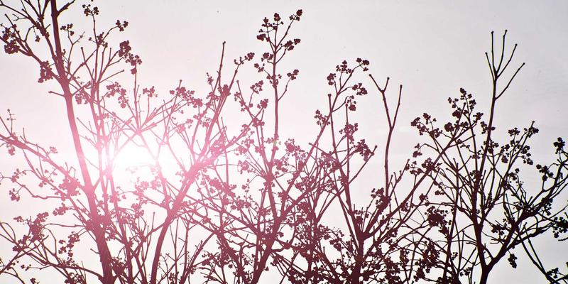 对开门冰箱与法式门冰箱：价格差异与功能对比全解析