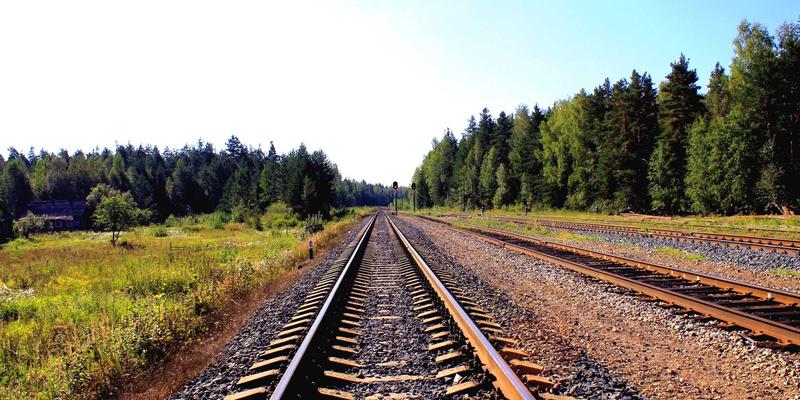 聪明选购冰箱全攻略：掌握价格技巧，避开消费陷阱