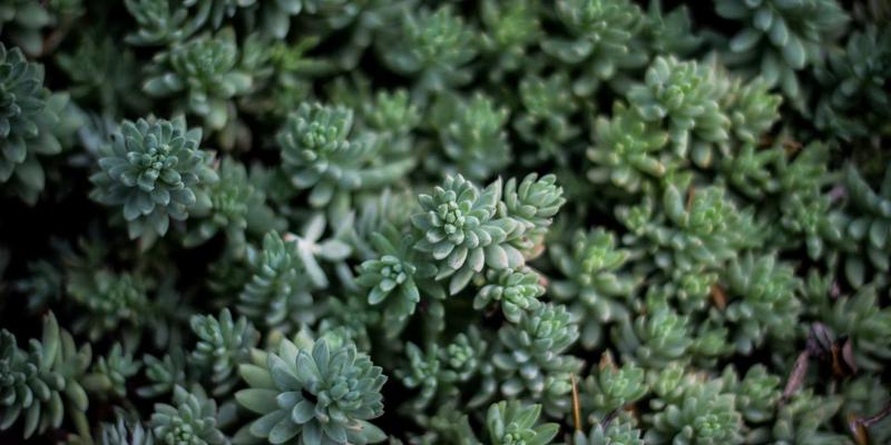 超静音冰箱是否值得高价购买？深入解析噪音分贝值与价格的关联